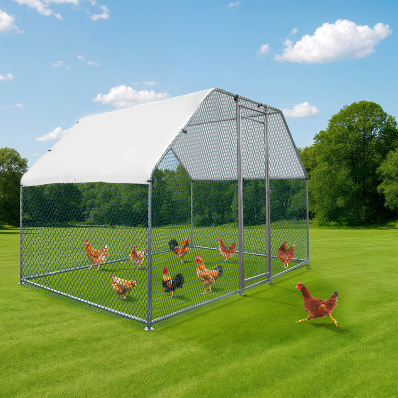 Grand poulailler en métal avec housse de pluie,  H 75,6 po x l 120 po x P 78,7 po