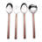4 Piece Stainless Steel Hostess Set