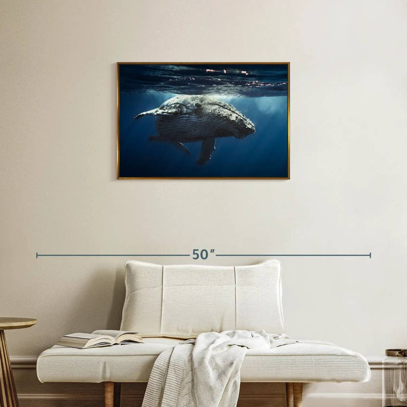 Baleine écumante, Cadre flottant doré, 31 po x 21 po