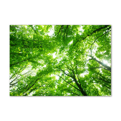 Green Forest - Wrapped Canvas Print