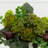 Artichoke and Hydrangea Silk Arrangement in Pot