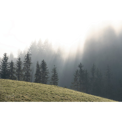 Mountain Glory