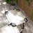 Folding Chaise Lounge Chairs with Adjustable Backrest and Sunshade, Set of 2 – Cream White