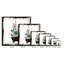 Cereus Echeveria - reproduction sur toile tendue-1157944173