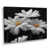 Toile tendue