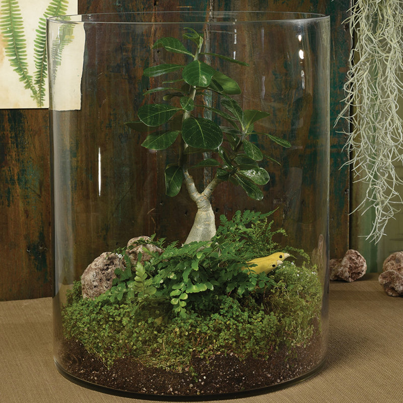 Urbank Glass Table Vase