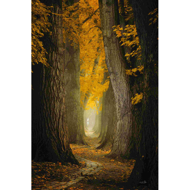 " Autumn Path " by Martin Podt, 18" H x 12" W, No, Wrapped Canvas