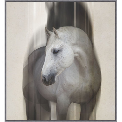 Lady Gray 1 Framed Photographic Print Canvas