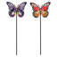 Ensemble de 2 choix de plantes papillons