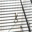 Cage à oiseau 45 po