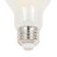 6,5 watts (équivalent à 60 watts), ampoule DEL A19, à intensité variable, blanc chaud E26 / culot moyen (standard)-101925337