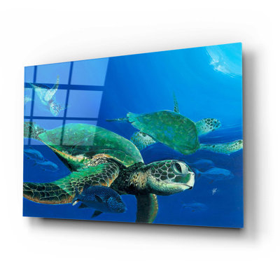Bay Isle Home™ 'Green Sea Turtles' By Durwood Coffey, Acrylic Glass Wall Art,