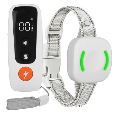 Dog Training Collar