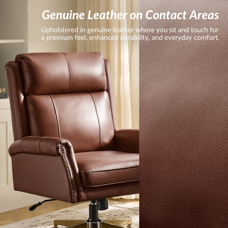 Heeg Transitional High-Back Genuine Leather Executive Office Chair with Nailhead Trim and Tilting Function, Brown