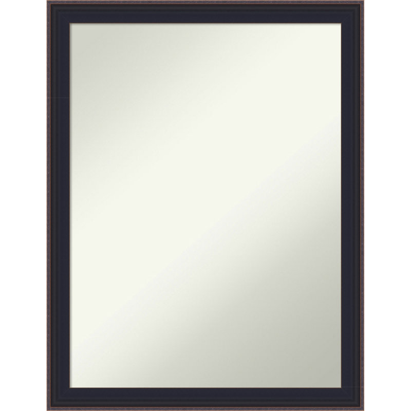 Havana Black Bronze Non-Beveled Framed Wall Mirror, 26.5" x 20.5"