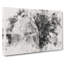 Wild Lioness - Wrapped Canvas-56658442