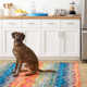 Paint Chip Multi Machine Washable Rug