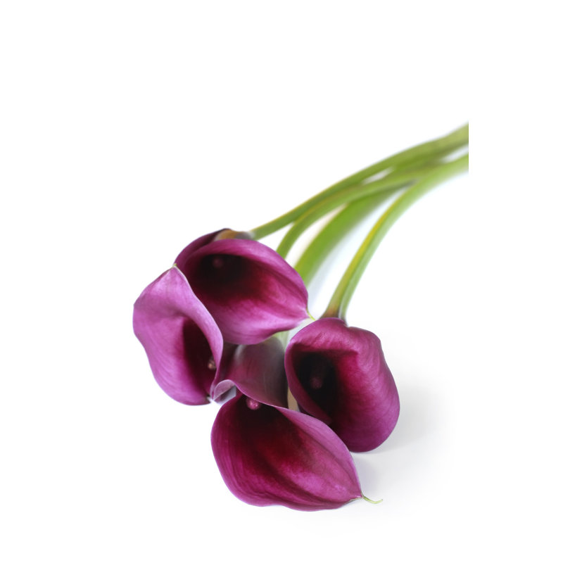 Lys mauves - photographie sur toile tendue, H 18 po x l 12 po