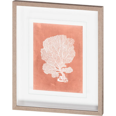 «Sealife on Coral III» par Vision Studio, reproduction d'art encadrée texturée matte sous verre
