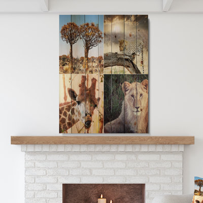 " African Safari Wildlife Collage "
