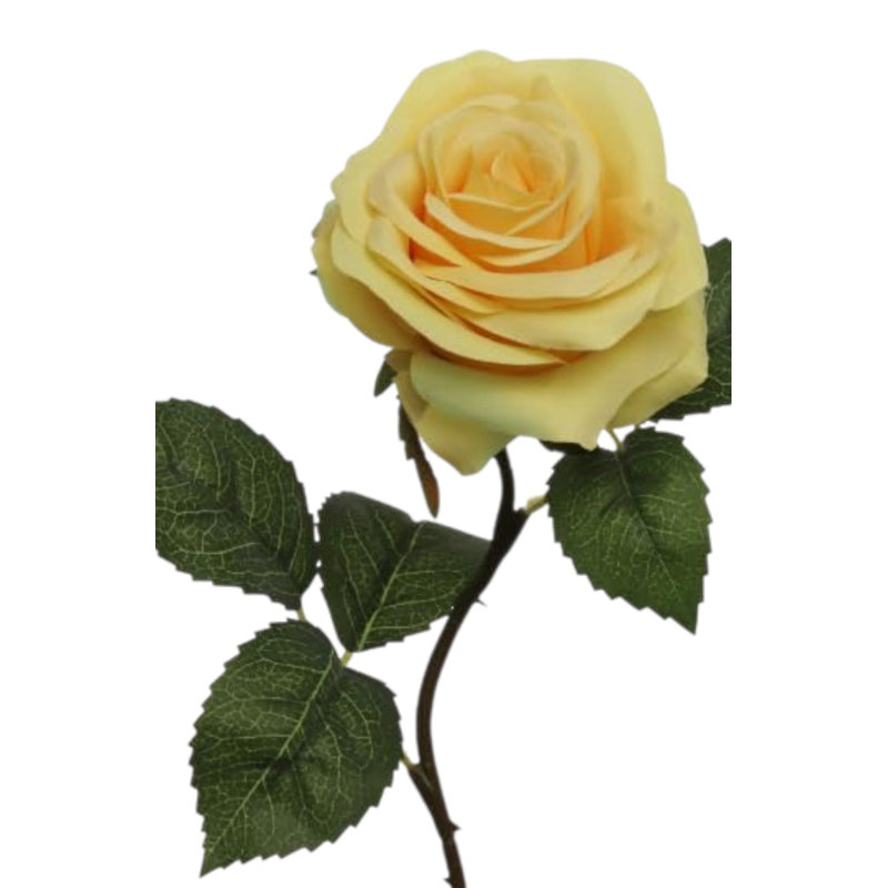 20" Open Rose Stem - 12 Pack