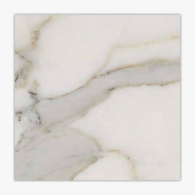 Calacatta Gold Standard Honed 12x12 Marble Tile