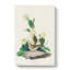 Grass Finch Bird by John James Audubon - Wrapped Canvas-55366271