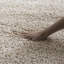 Tapis performance à poil long de couleur unie Vandoren-558164680-664531693