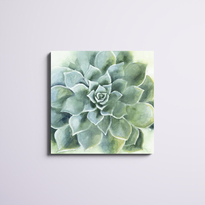 «Verdant Succulent II», peinture sur toile, H 30 po x l 30 po, Toile tendue