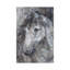 Grace by Debi Coules - Print on Canvas-56677884-50029274