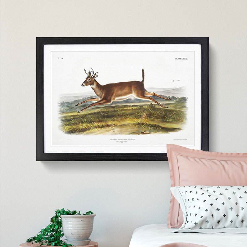 Long-Tailed Deer by J.W. Audubon - Picture Frame Painting Print, 60cm H x 91cm W x 2cm D, Black