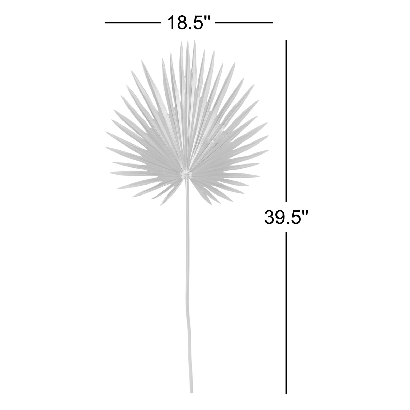 Palmetto Stem