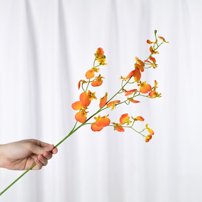 Audet Cherry Blossom Stems