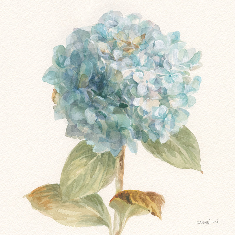 «Garden Hydrangea» par Danhui Nai, reproduction d'art sur toile tendue, H 30 po x l 30 po