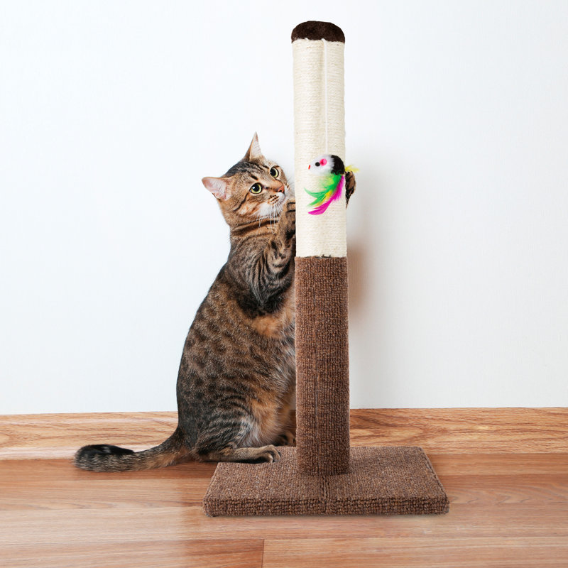 24.5-Inch Brown Sisal and Carpet Cat Scratching Post with Toy