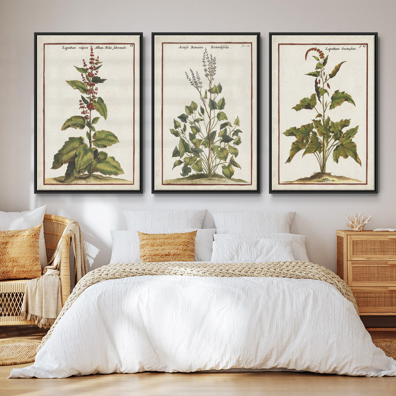 «Munting Botanicals IV», ensemble de 3 toiles encadrées, H 27 po x l 54 po, Noir