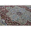 Wool Oriental Indoor Rug