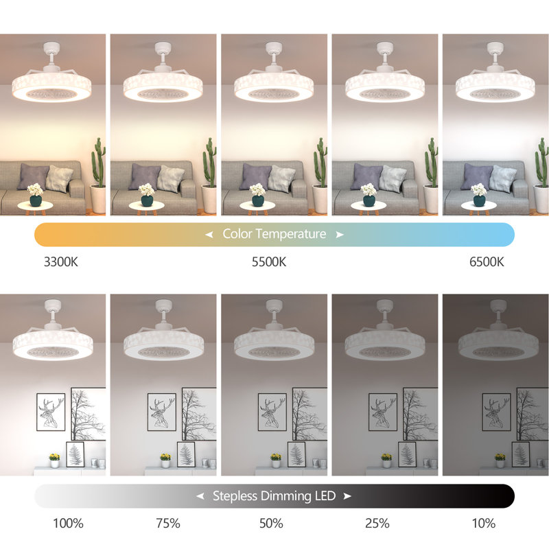 Ventilateur de plafond à cage à 3 pales de 23 po à DEL avec télécommande et ensemble d'éclairage inclus Lafleur