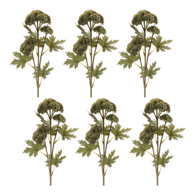 Vaporisateur de plantes grasses Sedum