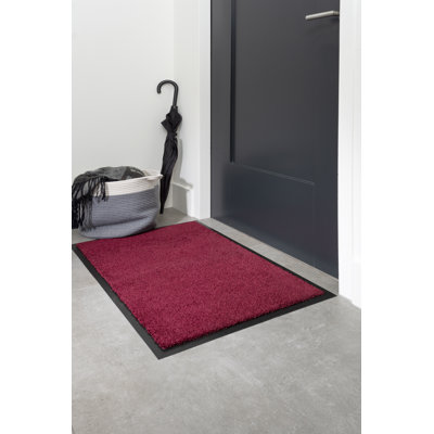 Denine Non-Slip Indoor Doormat
