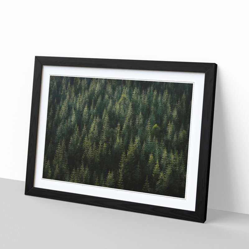 Beauty Of The Pine Tree Forest - Single Picture Frame Painting on MDF, 24cm H x 33cm W x 2cm D, Black