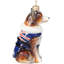 Australian Shepherd in Australia Flag Coat