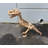 Baby T-Rex Dinosaur Skeleton Life Size Statue