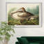 Trumpeter Swan - reproduction d'art sur toile-418566643-418566640