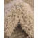 Santoya Indoor Rug