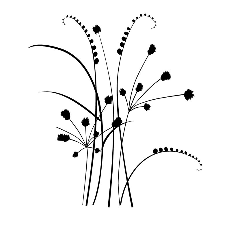 Plants & Flowers Non-Wall Damaging Wall Decal, Black