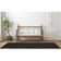 Edith Indoor Rug