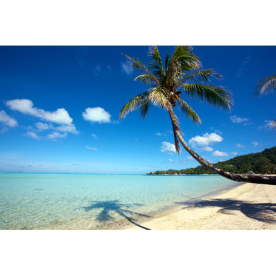 Coconut Palm Tree In White Sand Beach by Ekash - No Frame Art Prints on Canvas
