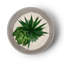 Pot à fleur en béton-2083324143