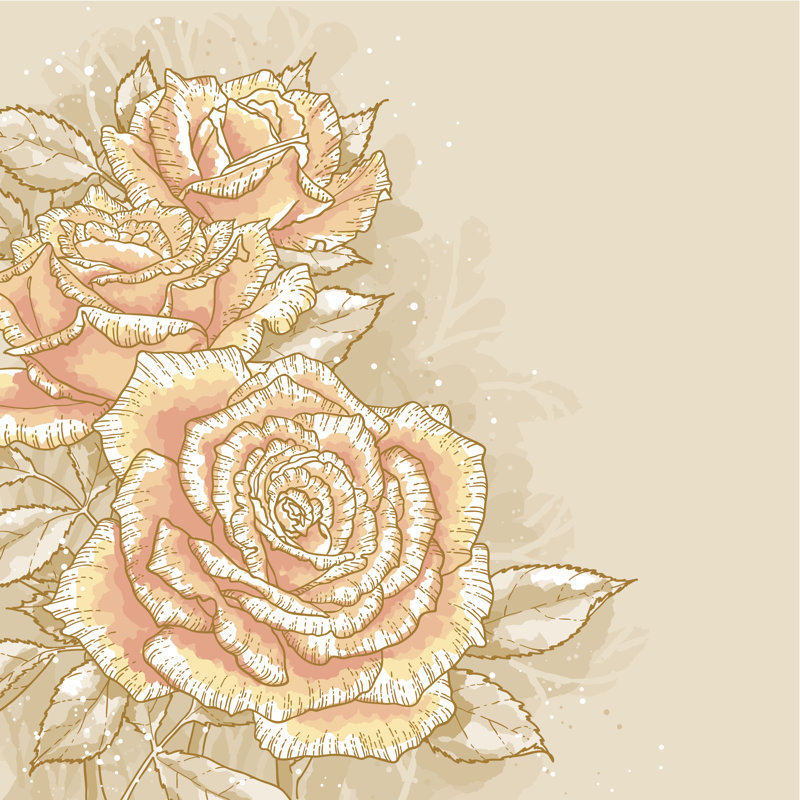 Pink Roses - Wrapped Canvas Print, 76cm H x 76cm W x 3.8cm D